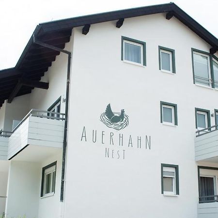 Auerhahn Nest Hotel Bad Wildbad Bagian luar foto