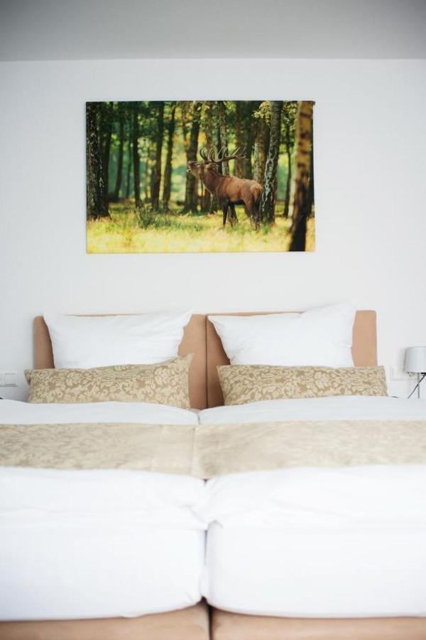 Auerhahn Nest Hotel Bad Wildbad Bagian luar foto